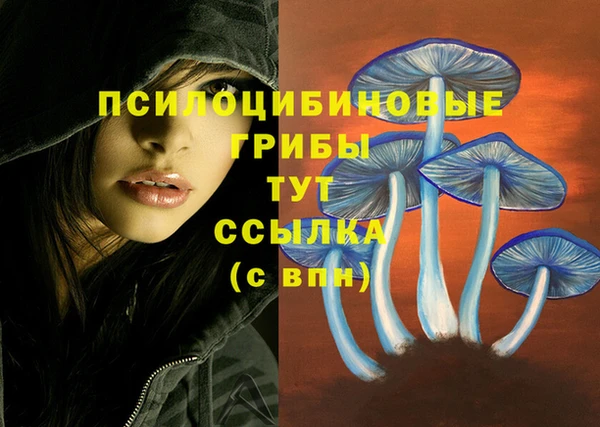 героин Козельск