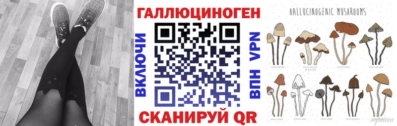 Псилоцибиновые грибы Psilocybe  Черноголовка 